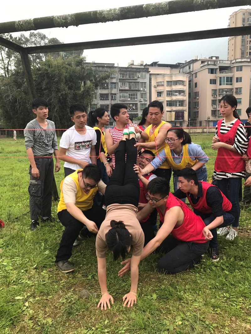 yl6809����(�й���)�ٷ���վ